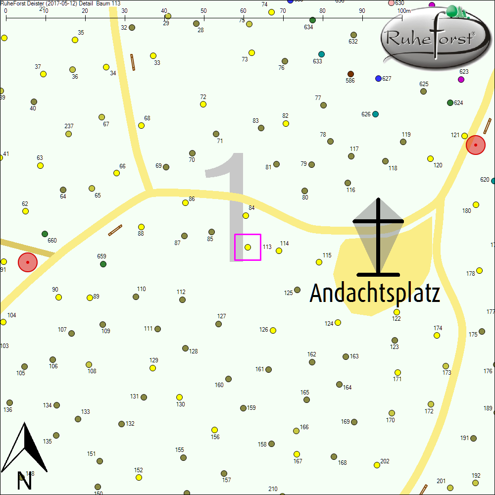 Detailkarte zu Baum 113