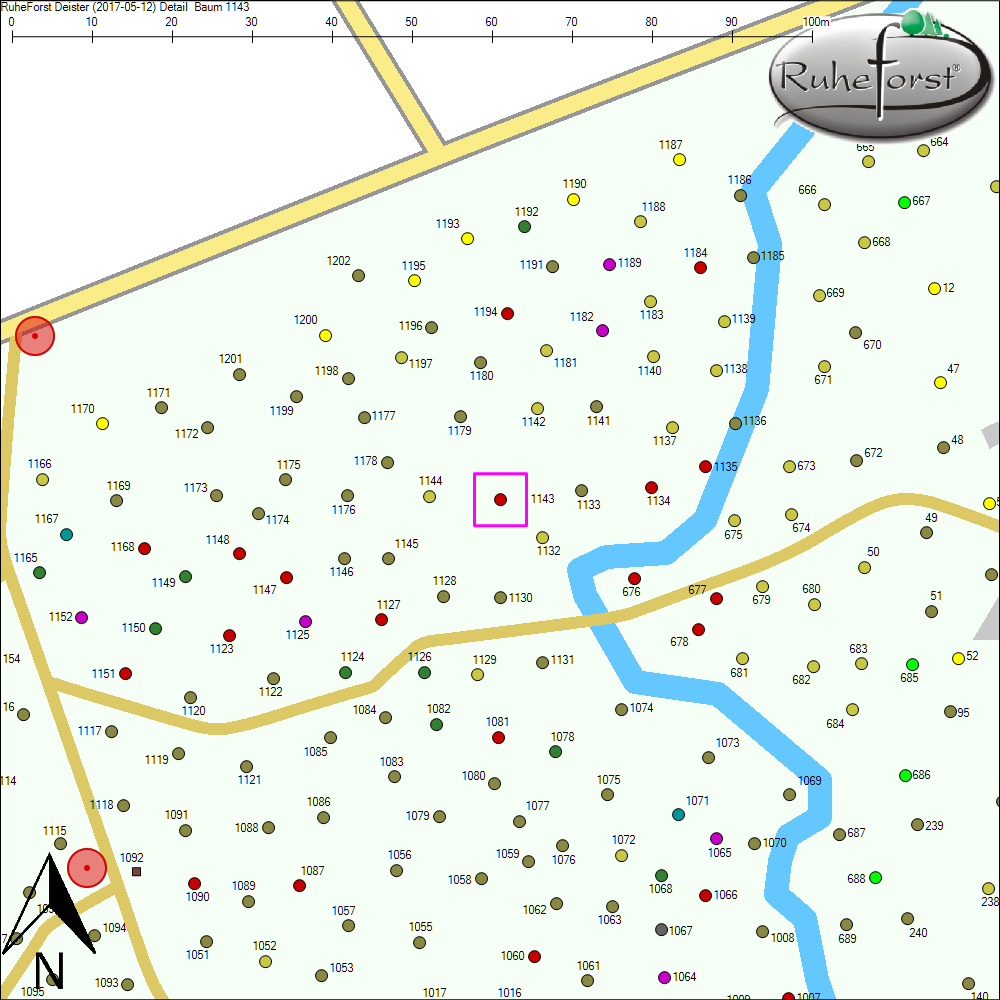 Detailkarte zu Baum 1143