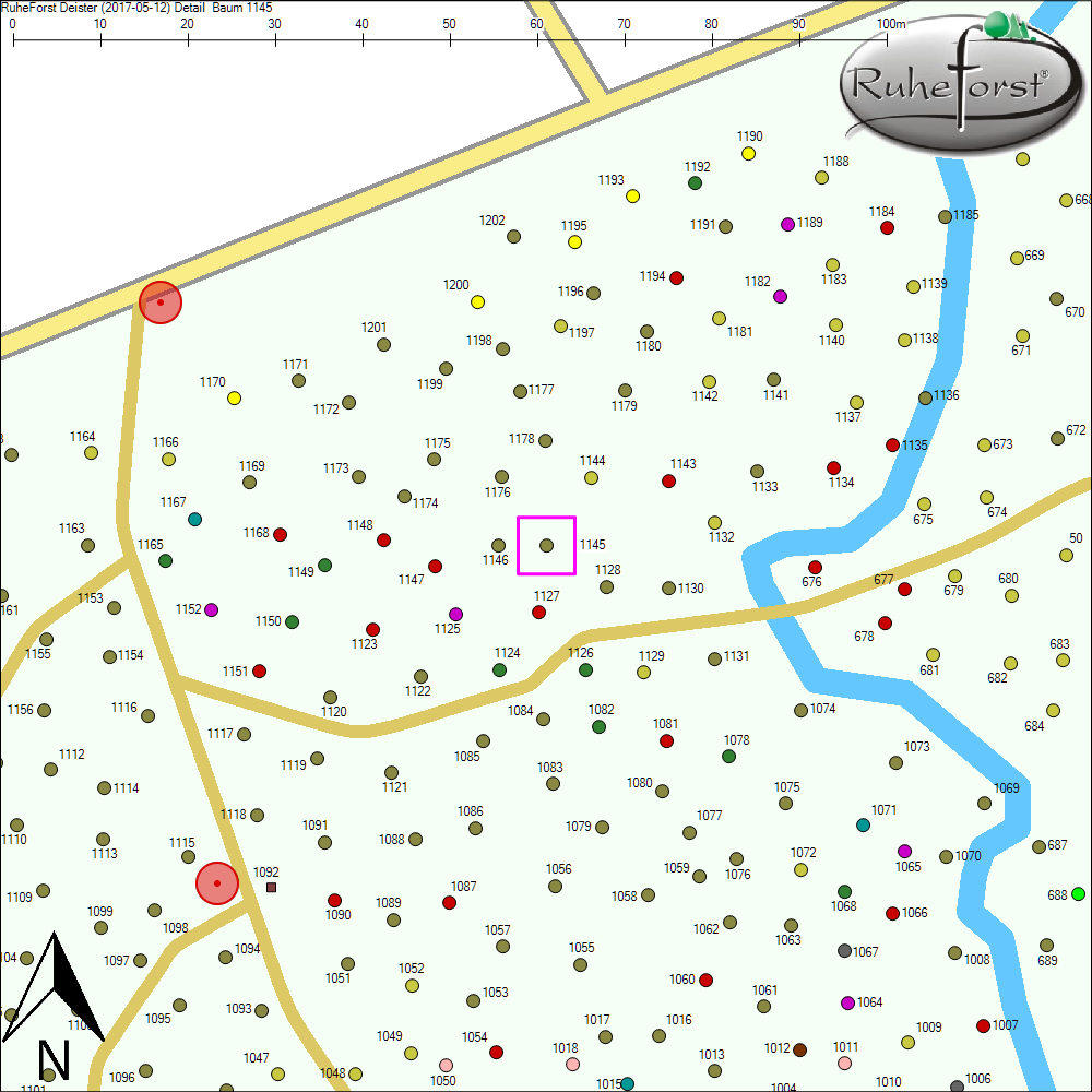 Detailkarte zu Baum 1145
