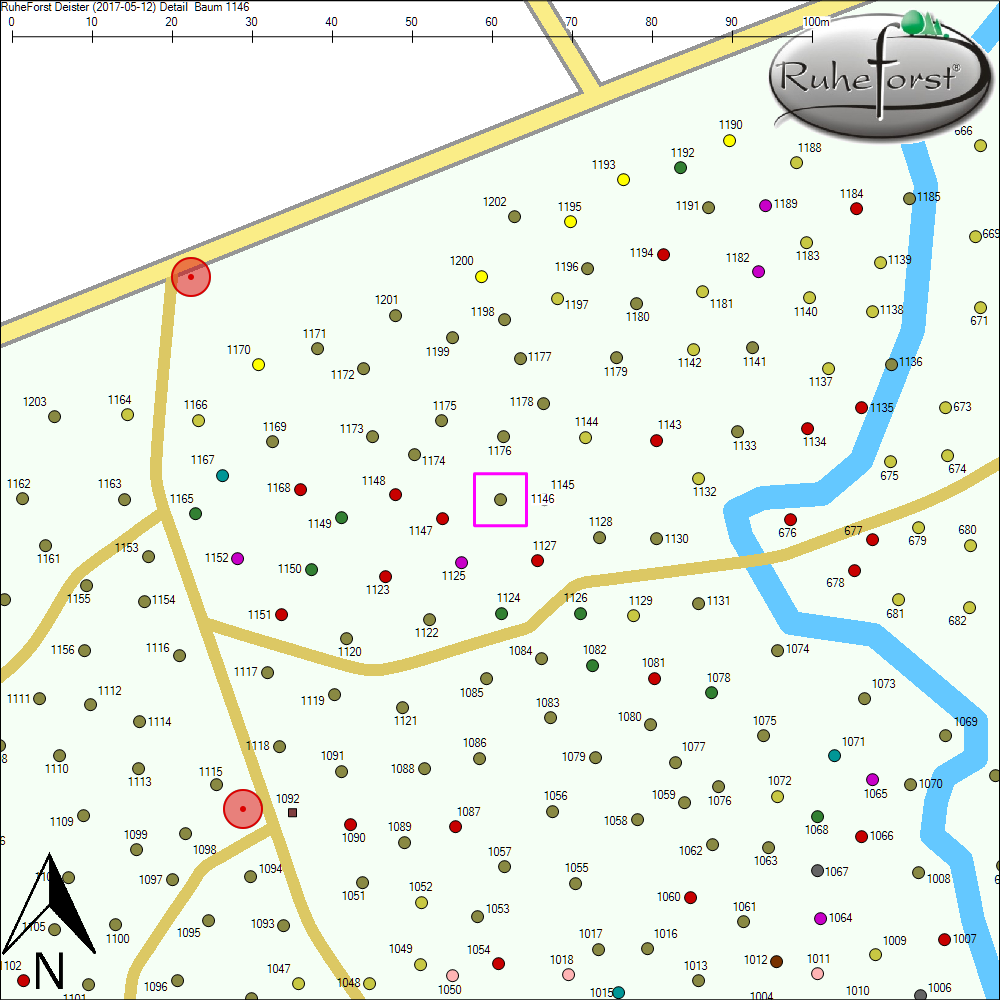 Detailkarte zu Baum 1146