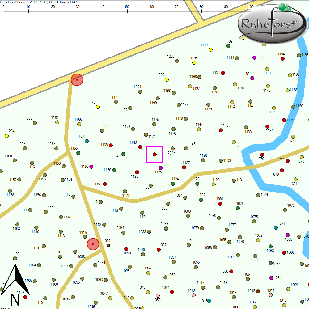 Detailkarte zu Baum 1147