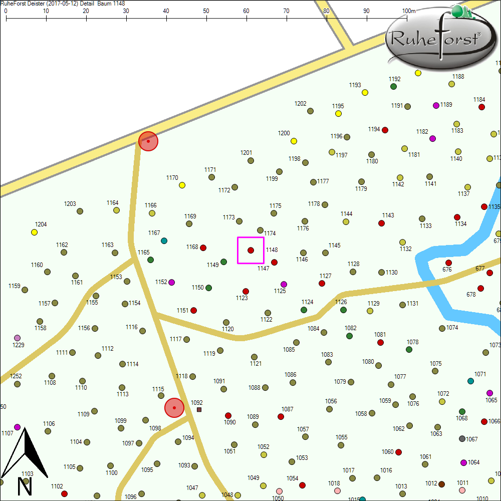 Detailkarte zu Baum 1148