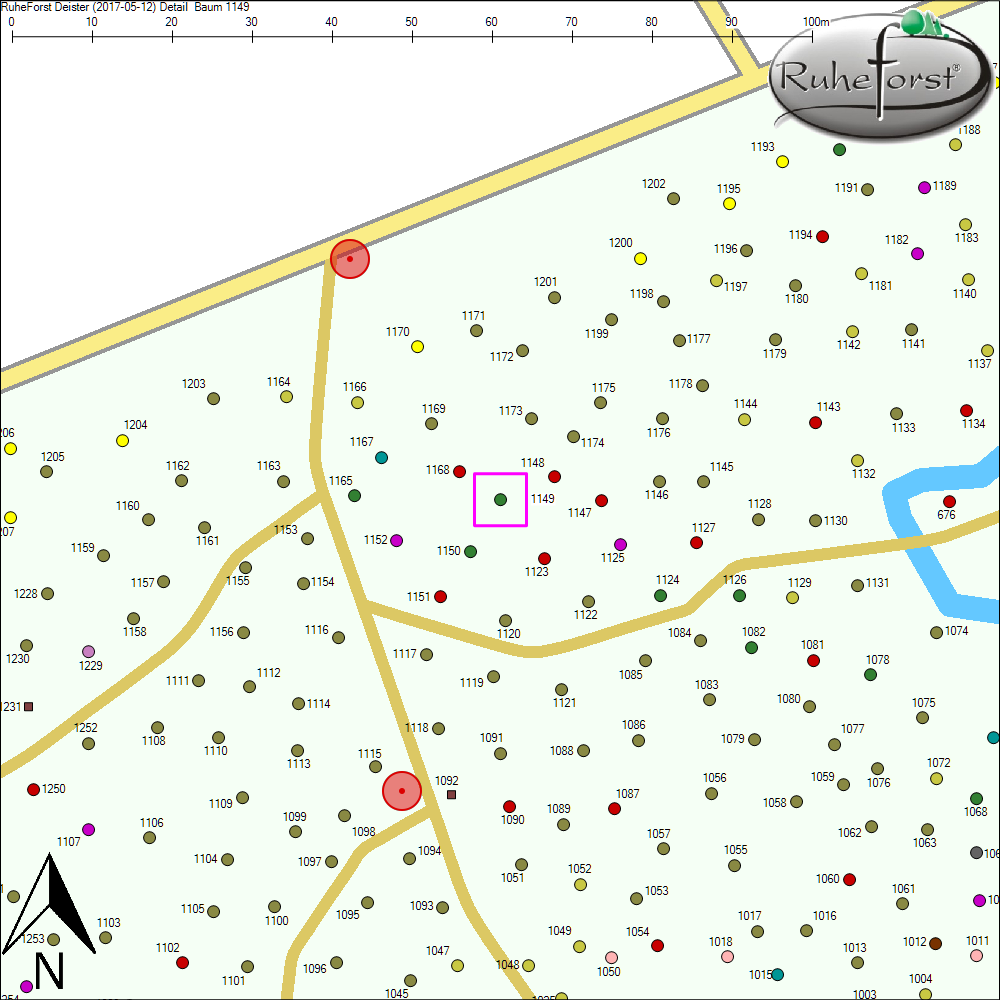 Detailkarte zu Baum 1149