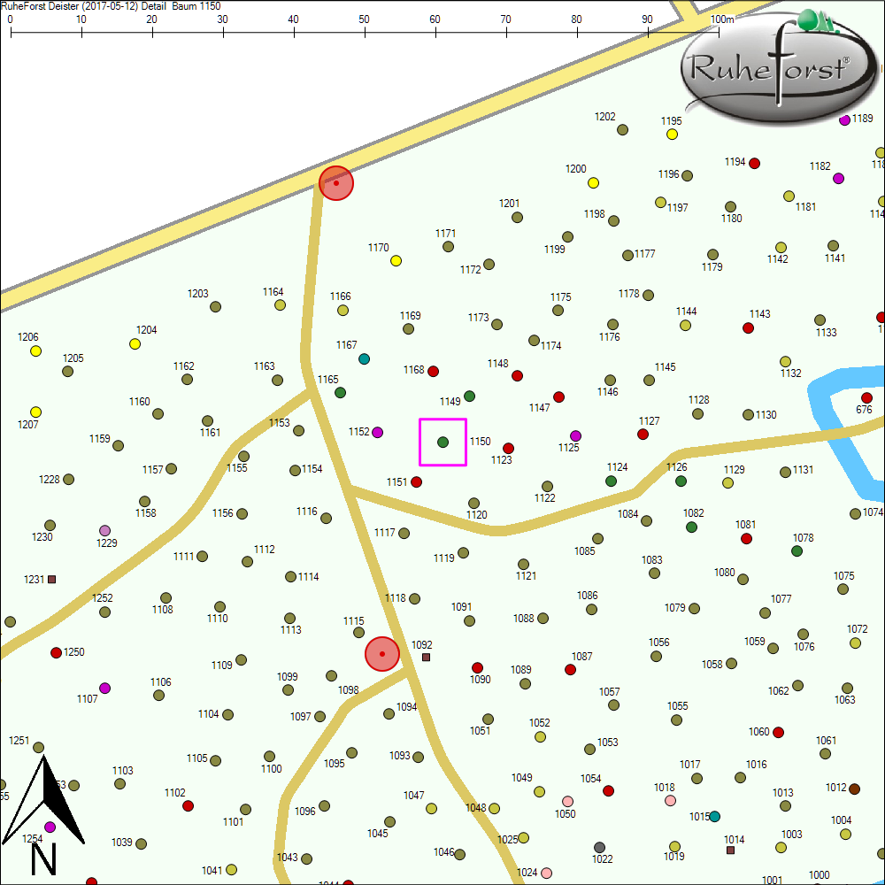 Detailkarte zu Baum 1150
