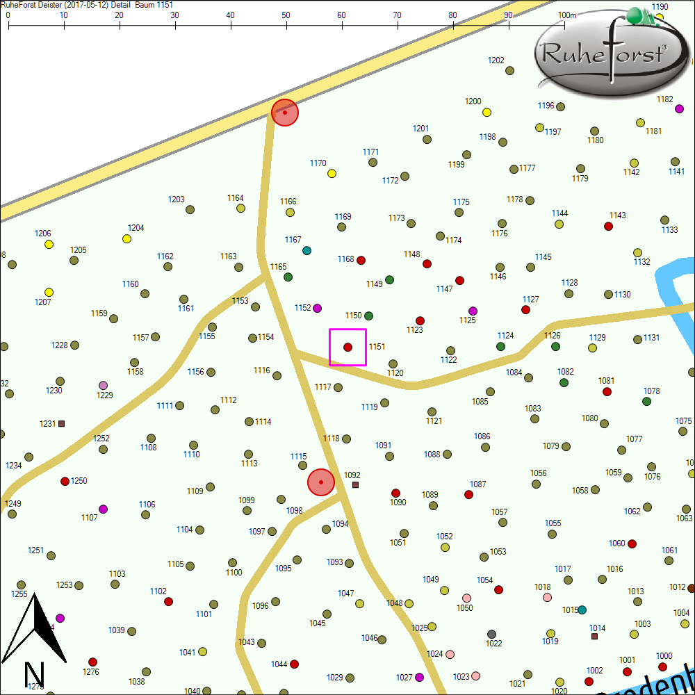 Detailkarte zu Baum 1151