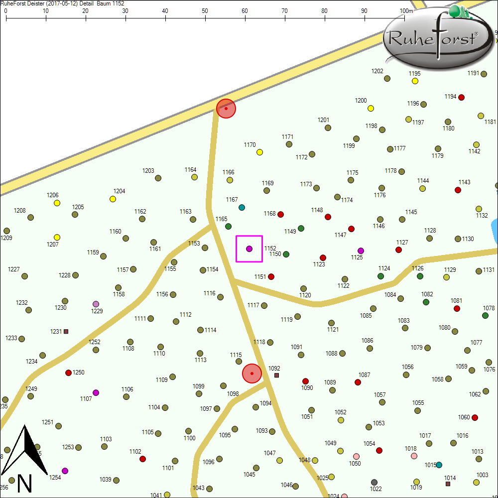 Detailkarte zu Baum 1152