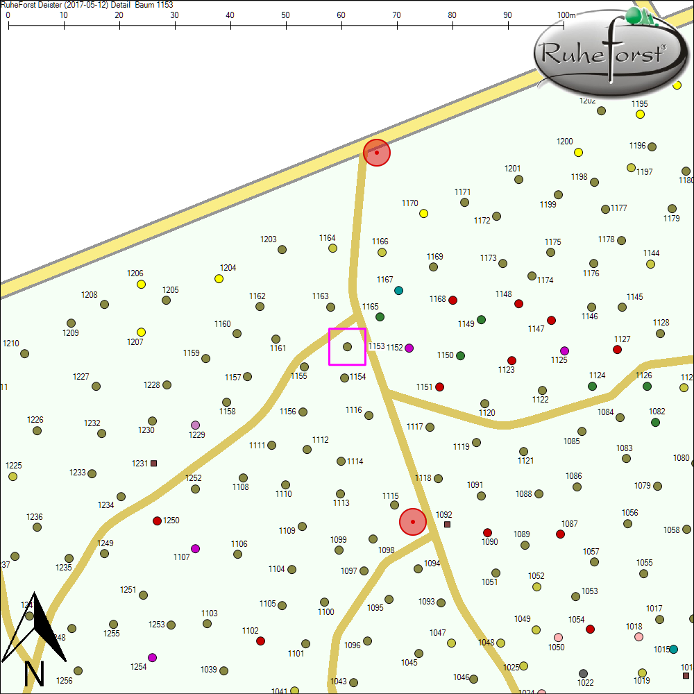 Detailkarte zu Baum 1153