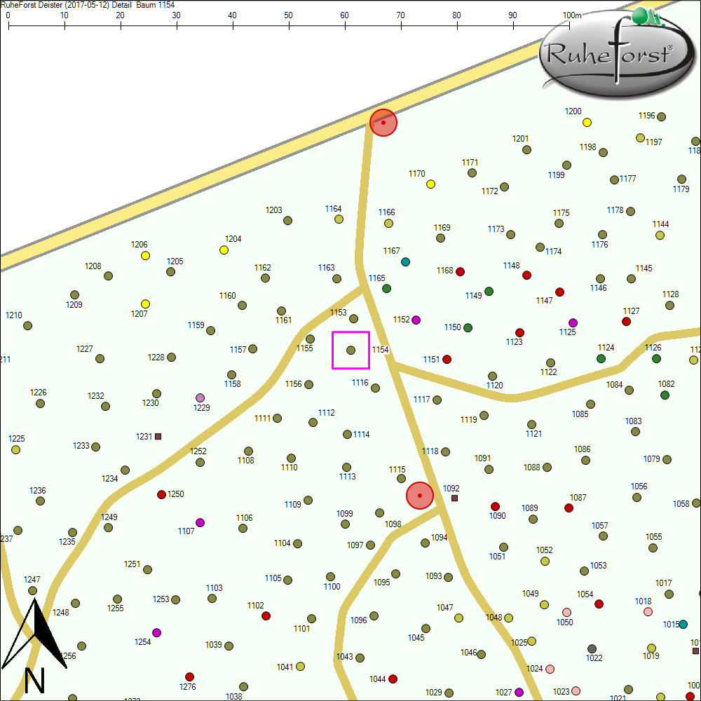 Detailkarte zu Baum 1154