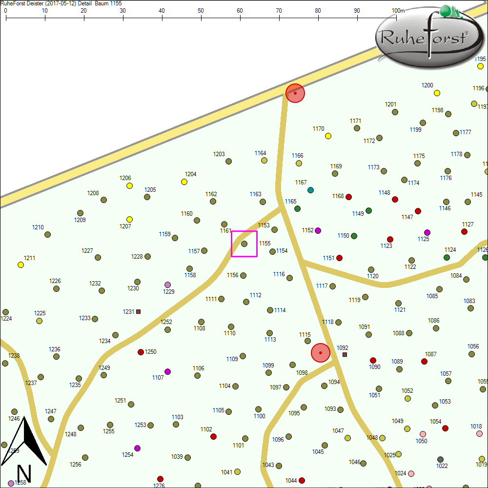 Detailkarte zu Baum 1155