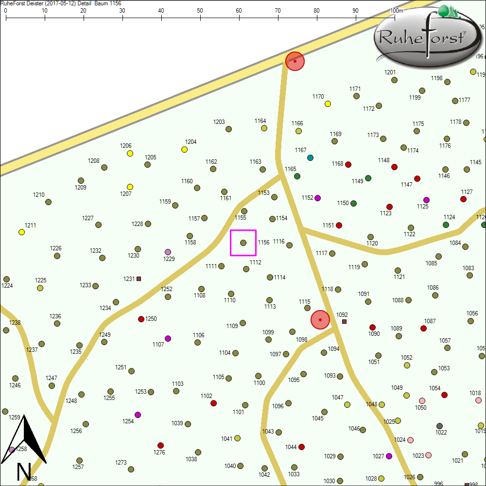 Detailkarte zu Baum 1156