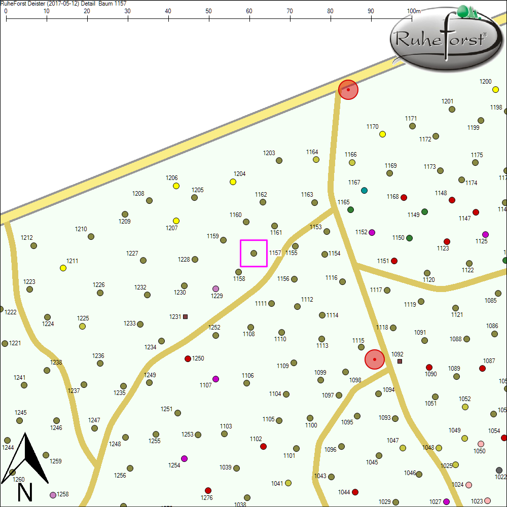 Detailkarte zu Baum 1157