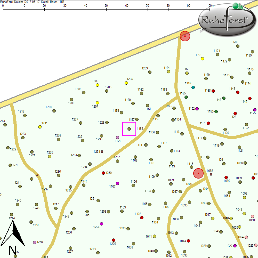 Detailkarte zu Baum 1158