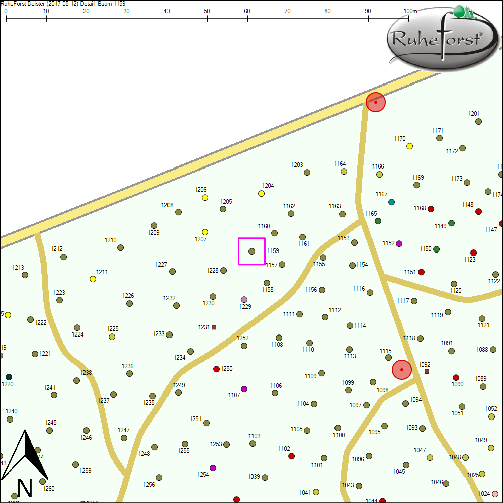 Detailkarte zu Baum 1159