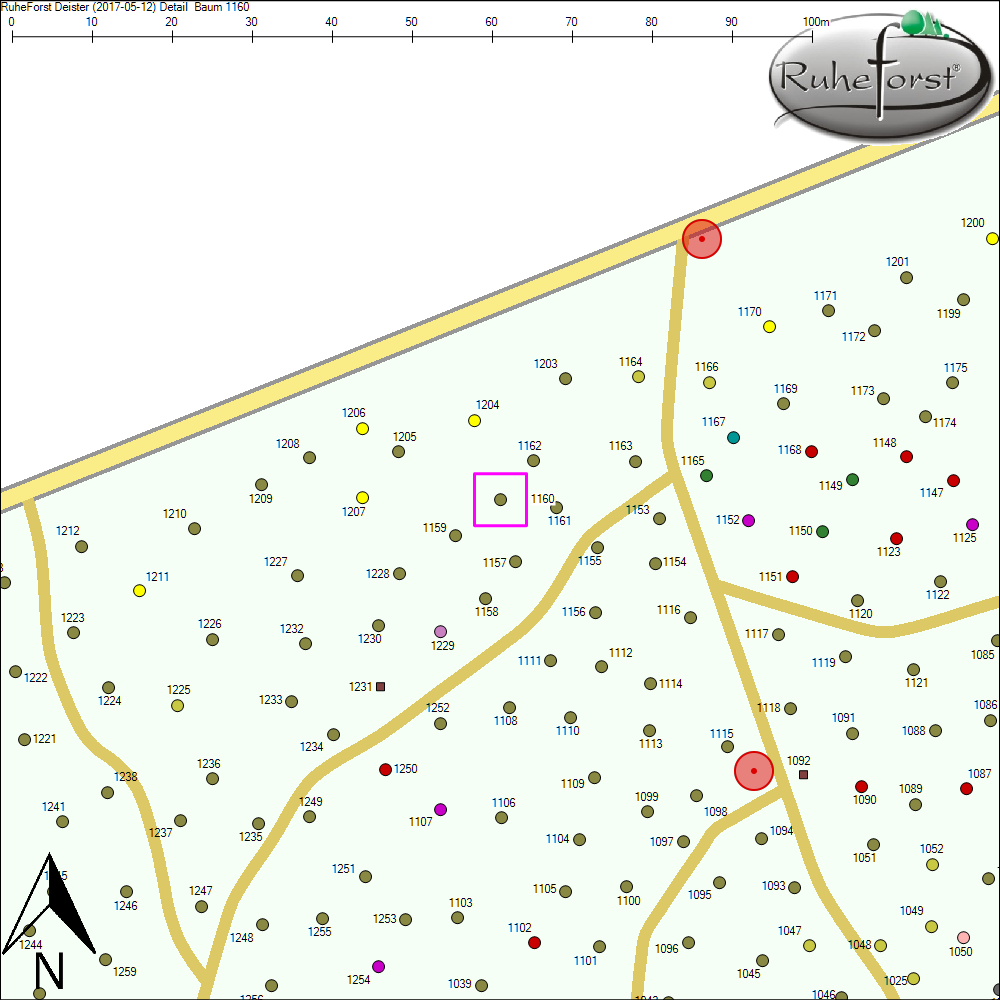 Detailkarte zu Baum 1160
