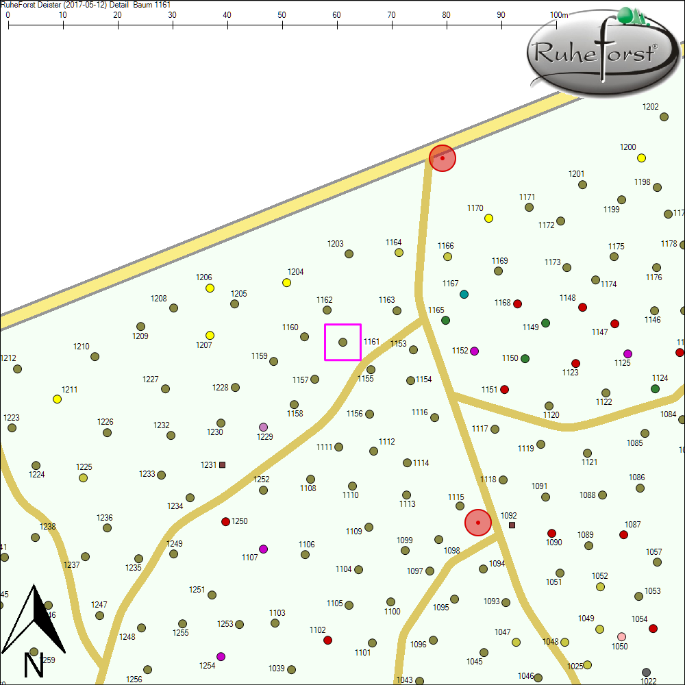 Detailkarte zu Baum 1161