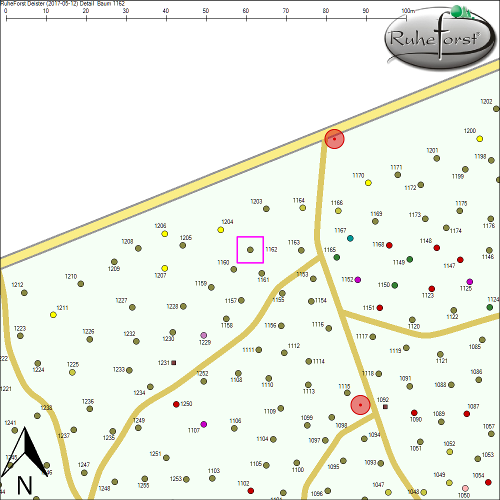 Detailkarte zu Baum 1162