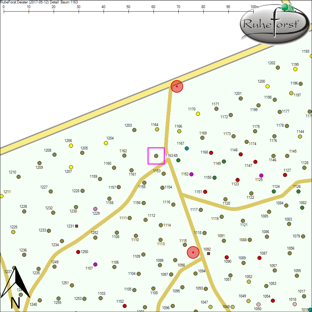 Detailkarte zu Baum 1163