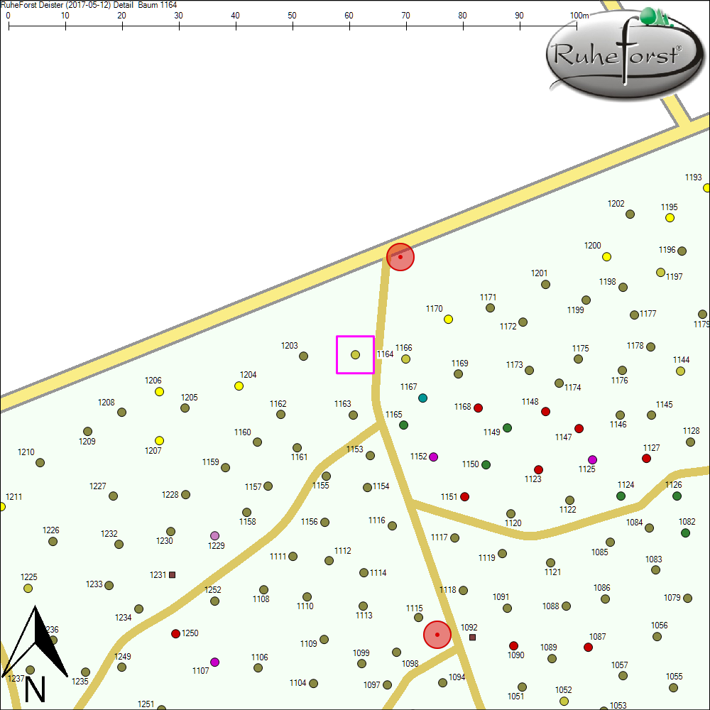 Detailkarte zu Baum 1164