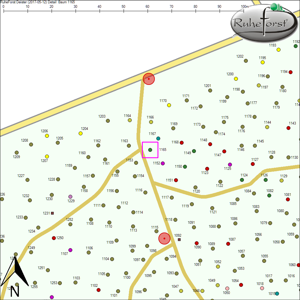 Detailkarte zu Baum 1165