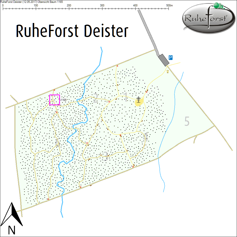 &Uuml;bersichtskarte zu Baum 1165