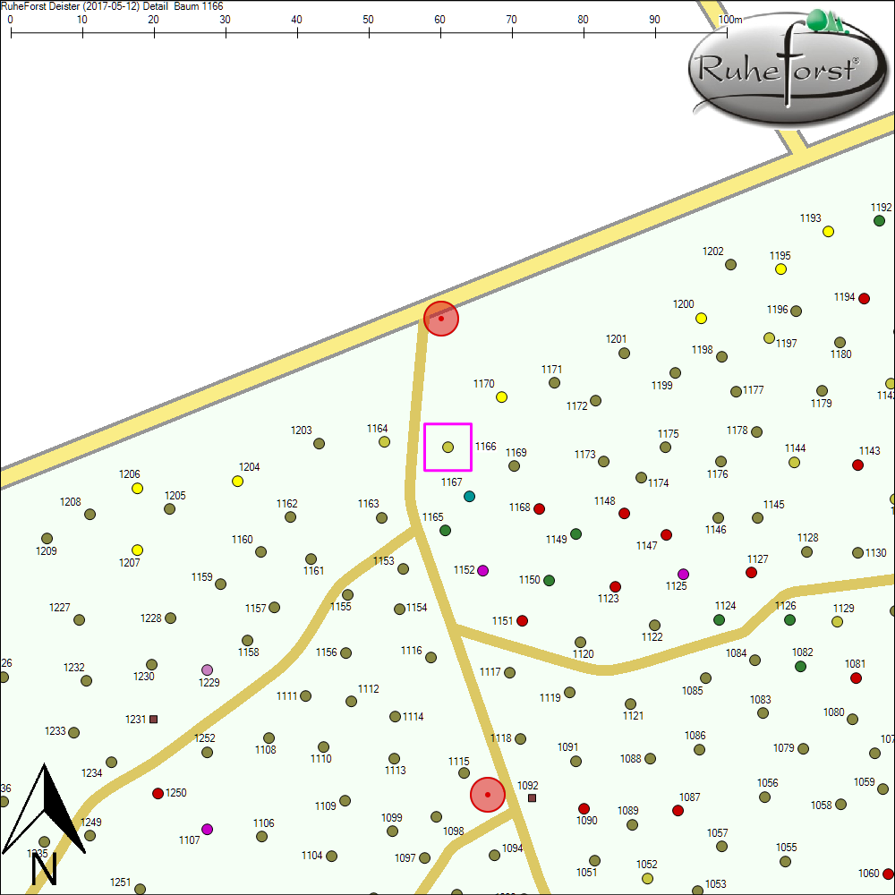 Detailkarte zu Baum 1166