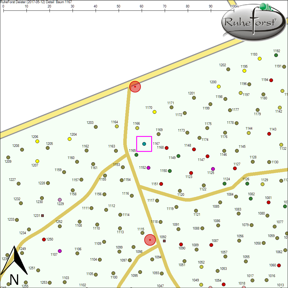 Detailkarte zu Baum 1167