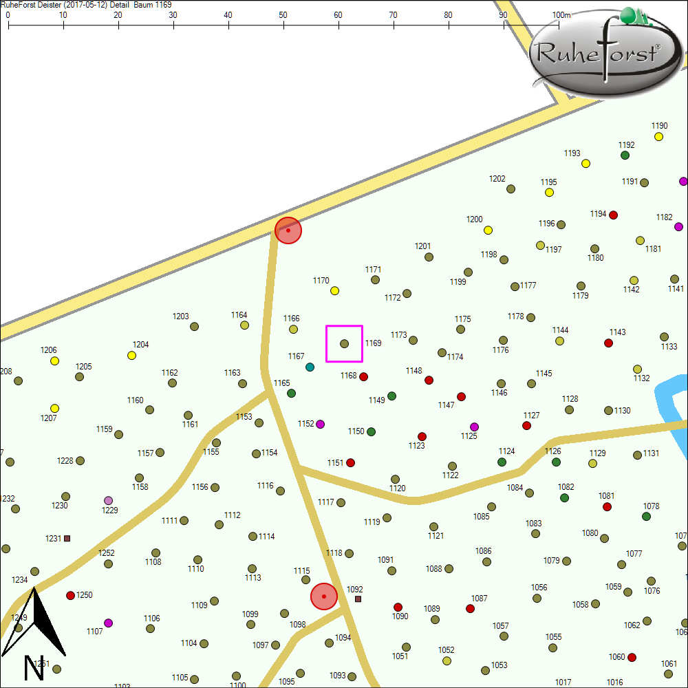 Detailkarte zu Baum 1169