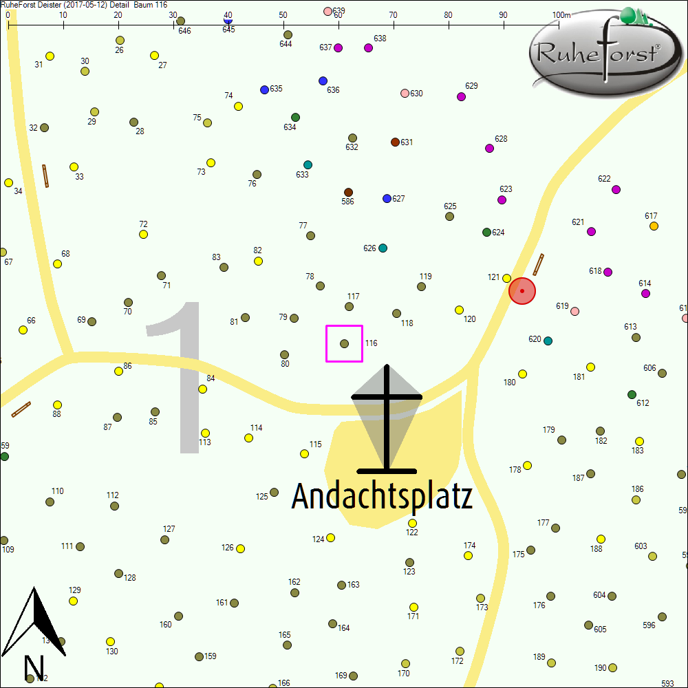 Detailkarte zu Baum 116
