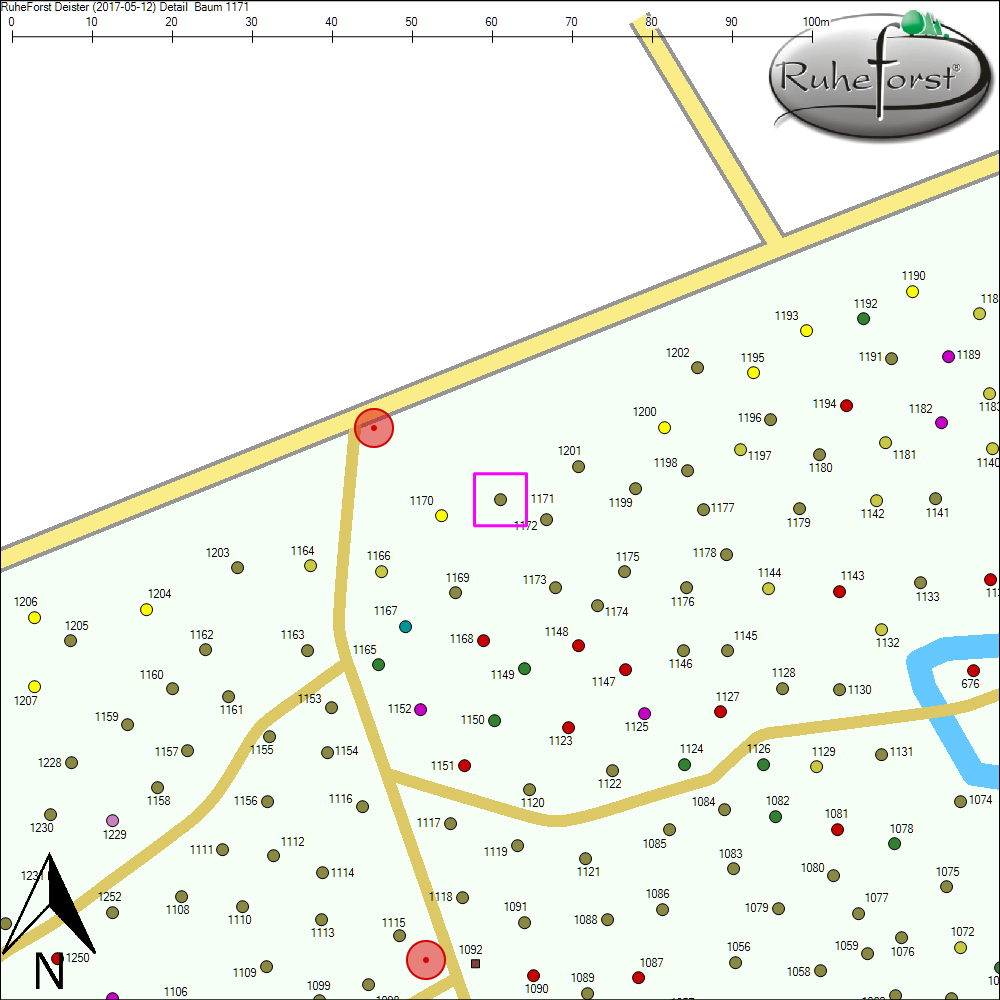 Detailkarte zu Baum 1171