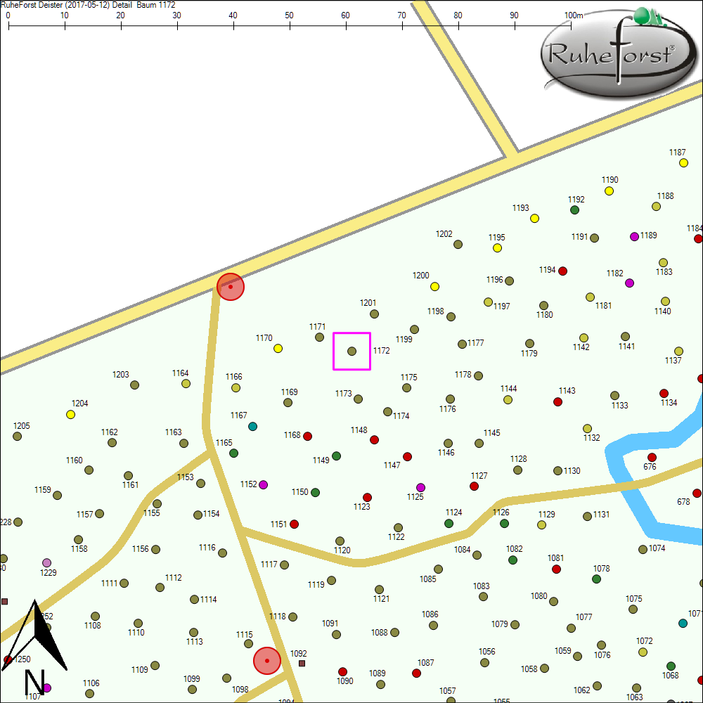 Detailkarte zu Baum 1172
