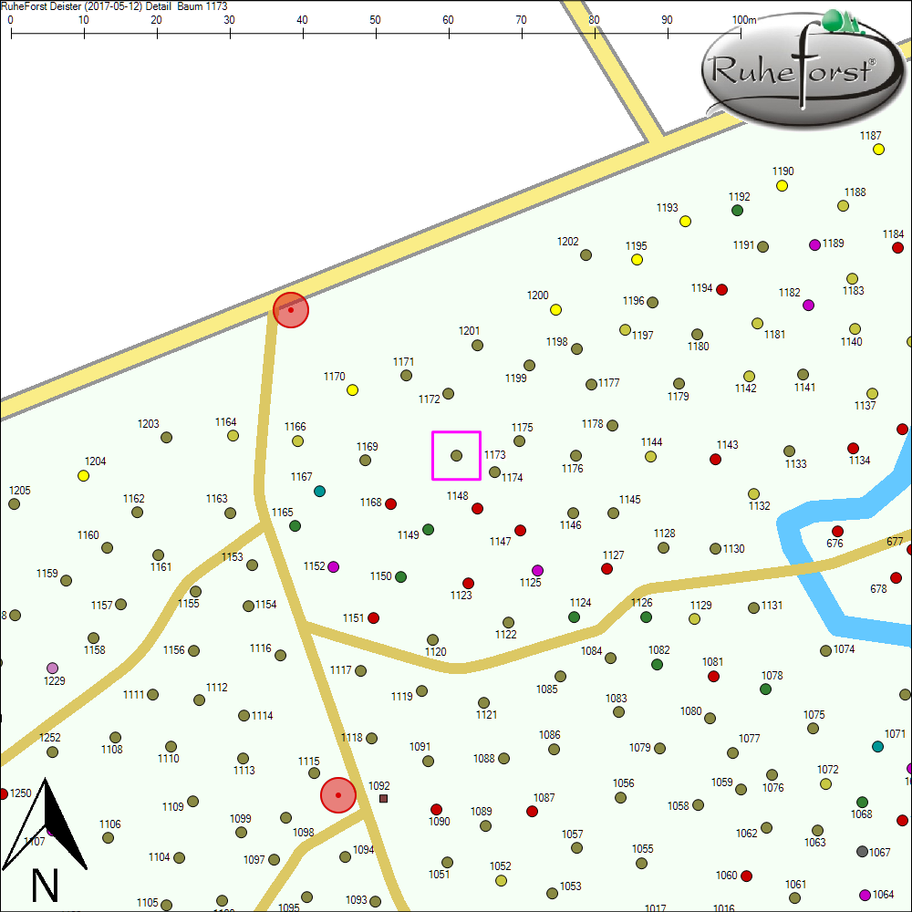 Detailkarte zu Baum 1173