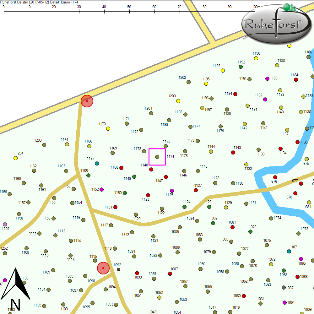 Detailkarte zu Baum 1174