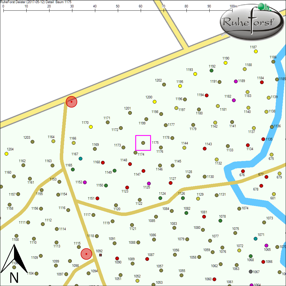 Detailkarte zu Baum 1175