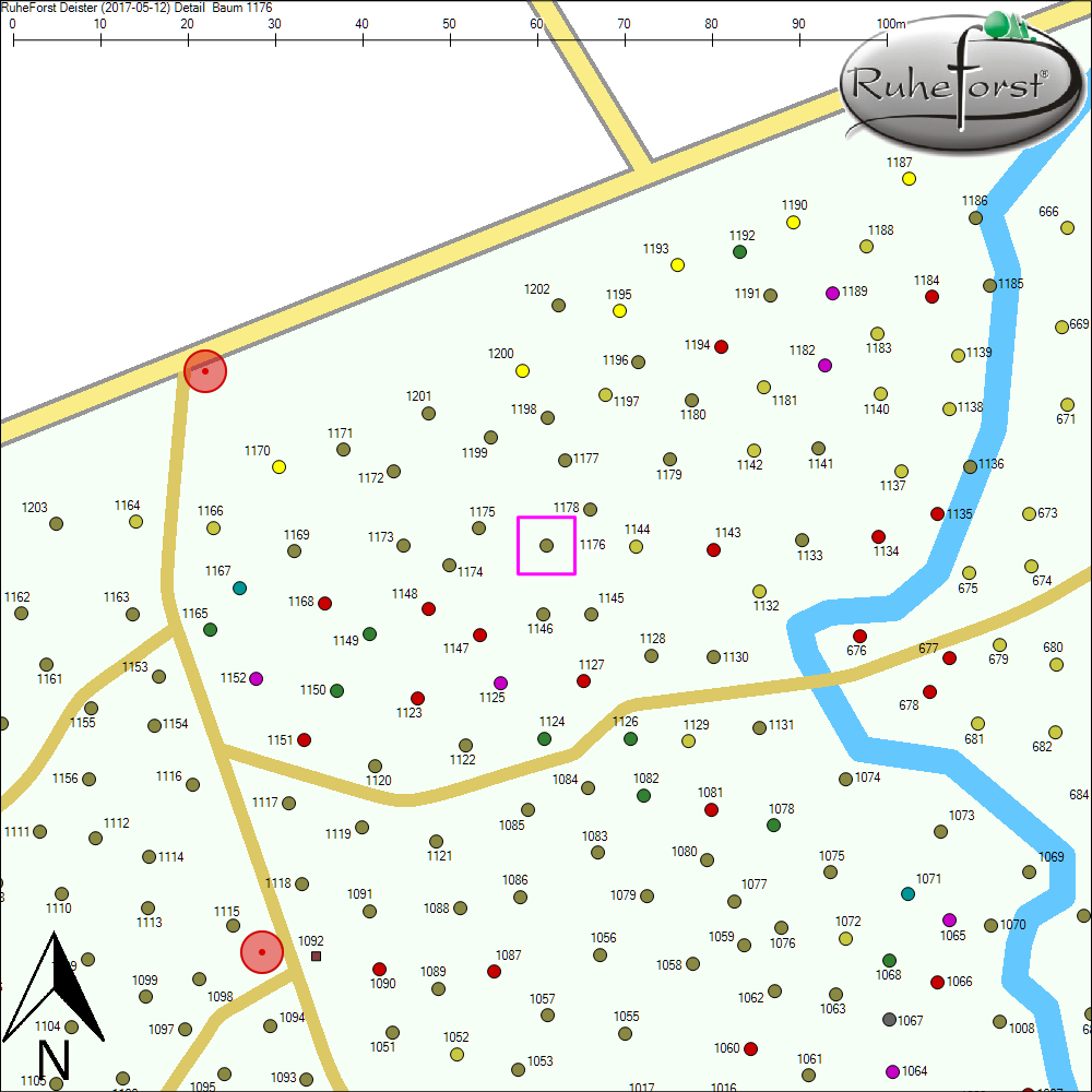 Detailkarte zu Baum 1176