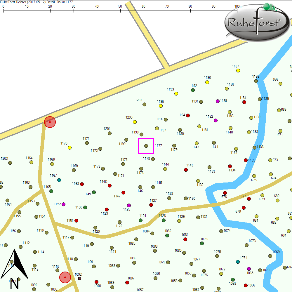 Detailkarte zu Baum 1177