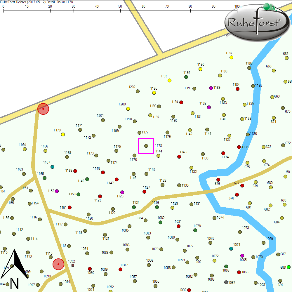 Detailkarte zu Baum 1178