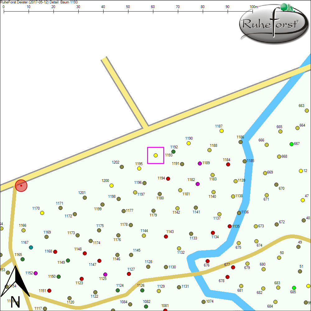 Detailkarte zu Baum 1193