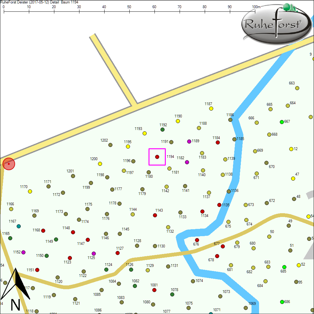 Detailkarte zu Baum 1194