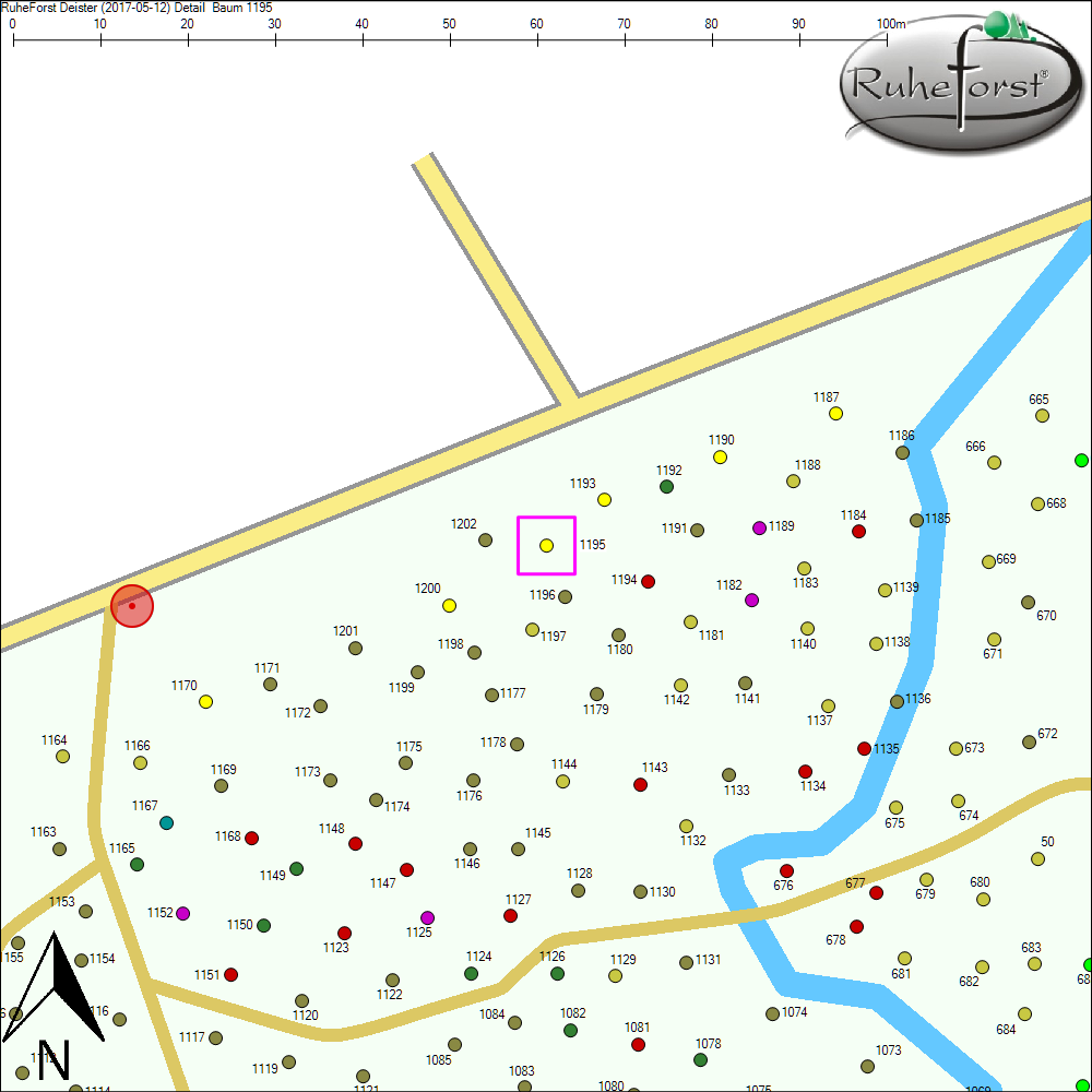 Detailkarte zu Baum 1195