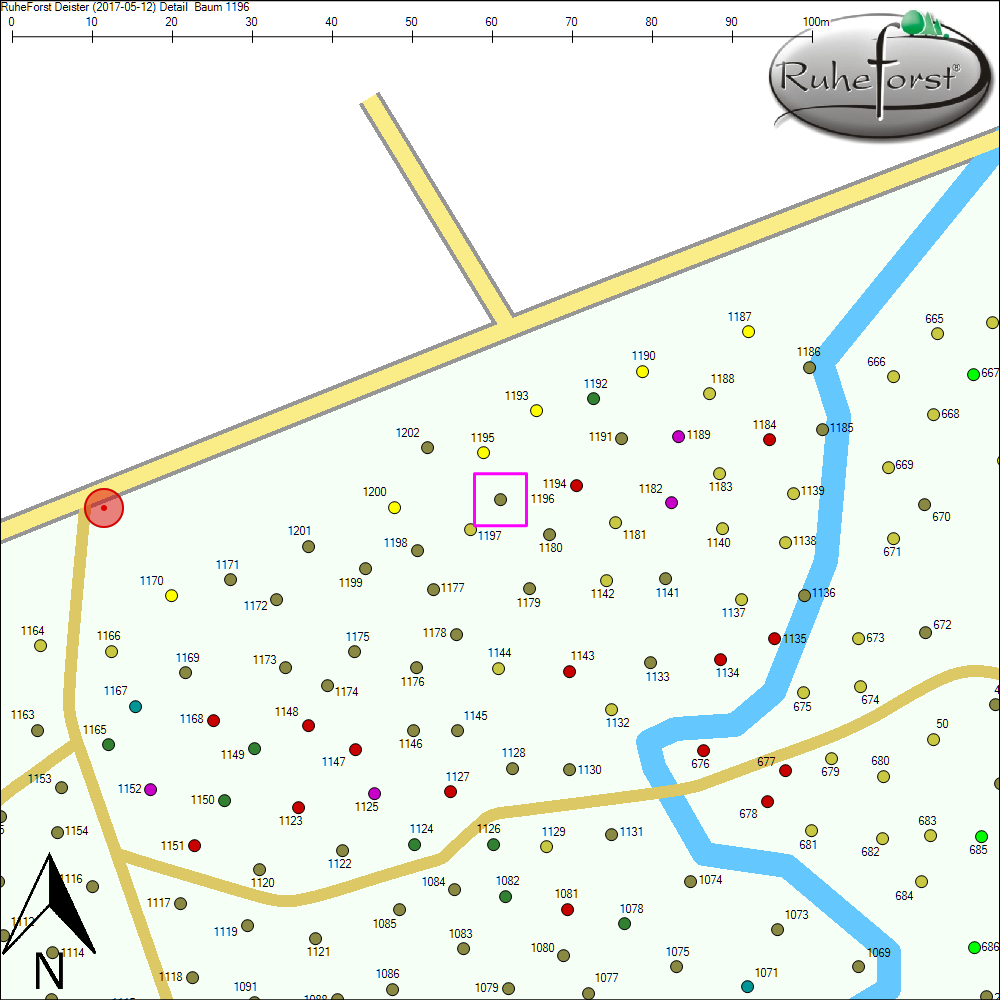 Detailkarte zu Baum 1196