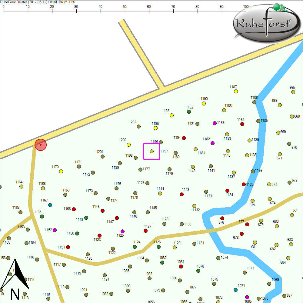 Detailkarte zu Baum 1197