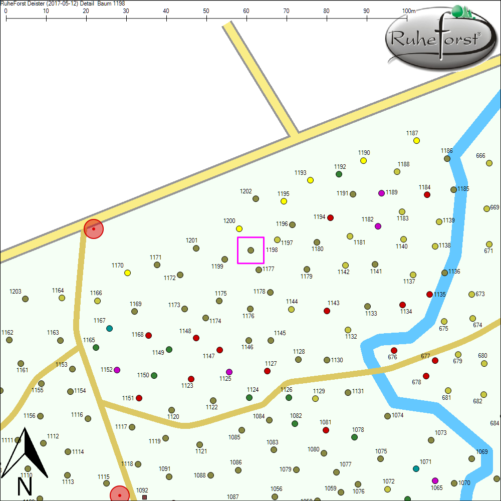 Detailkarte zu Baum 1198