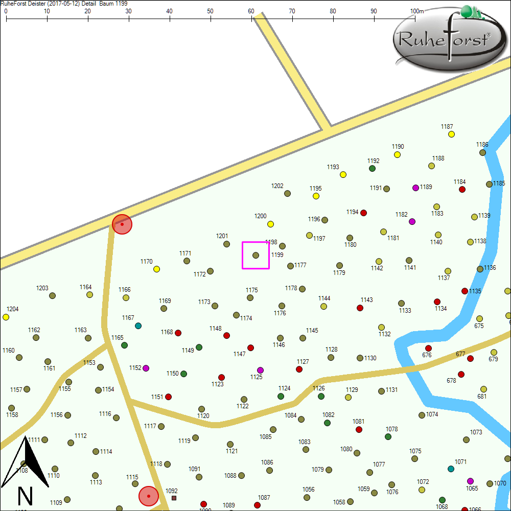 Detailkarte zu Baum 1199