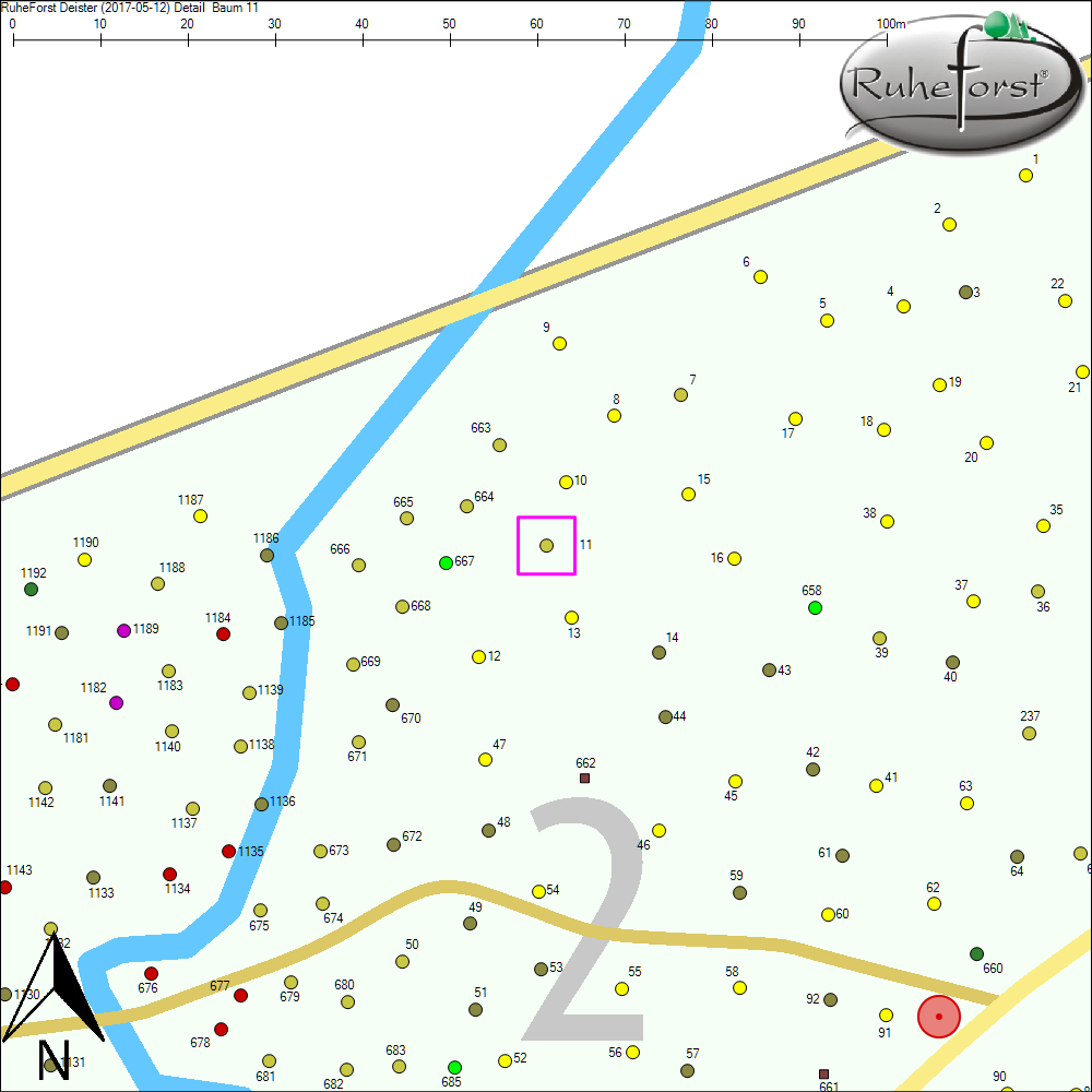 Detailkarte zu Baum 11