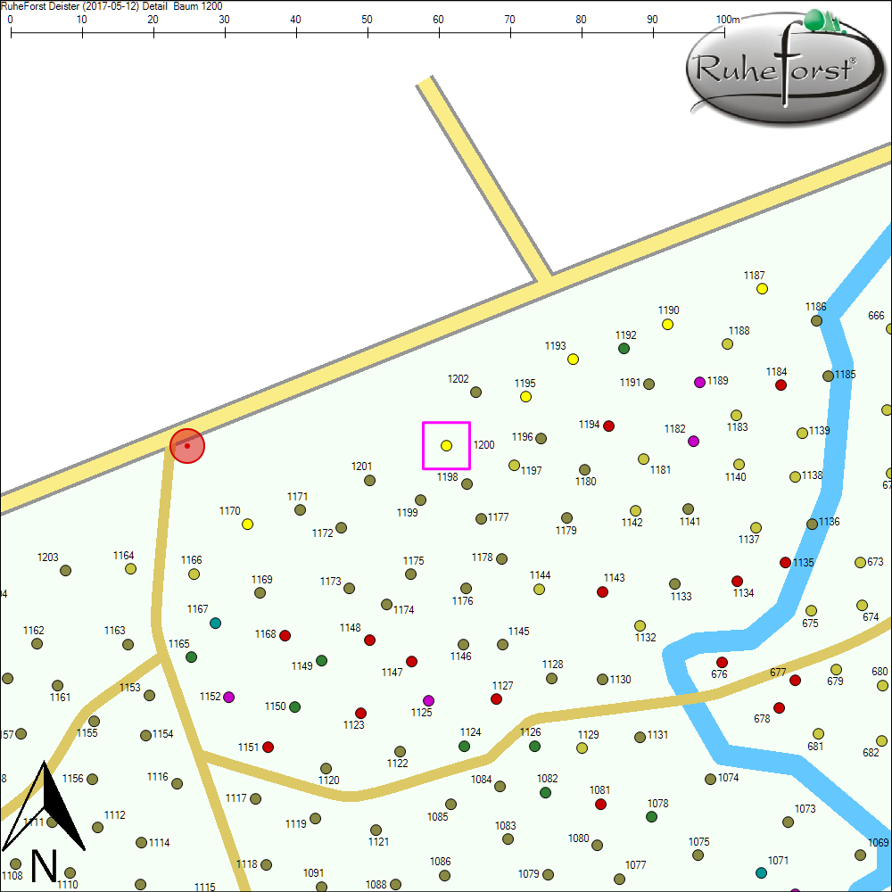 Detailkarte zu Baum 1200