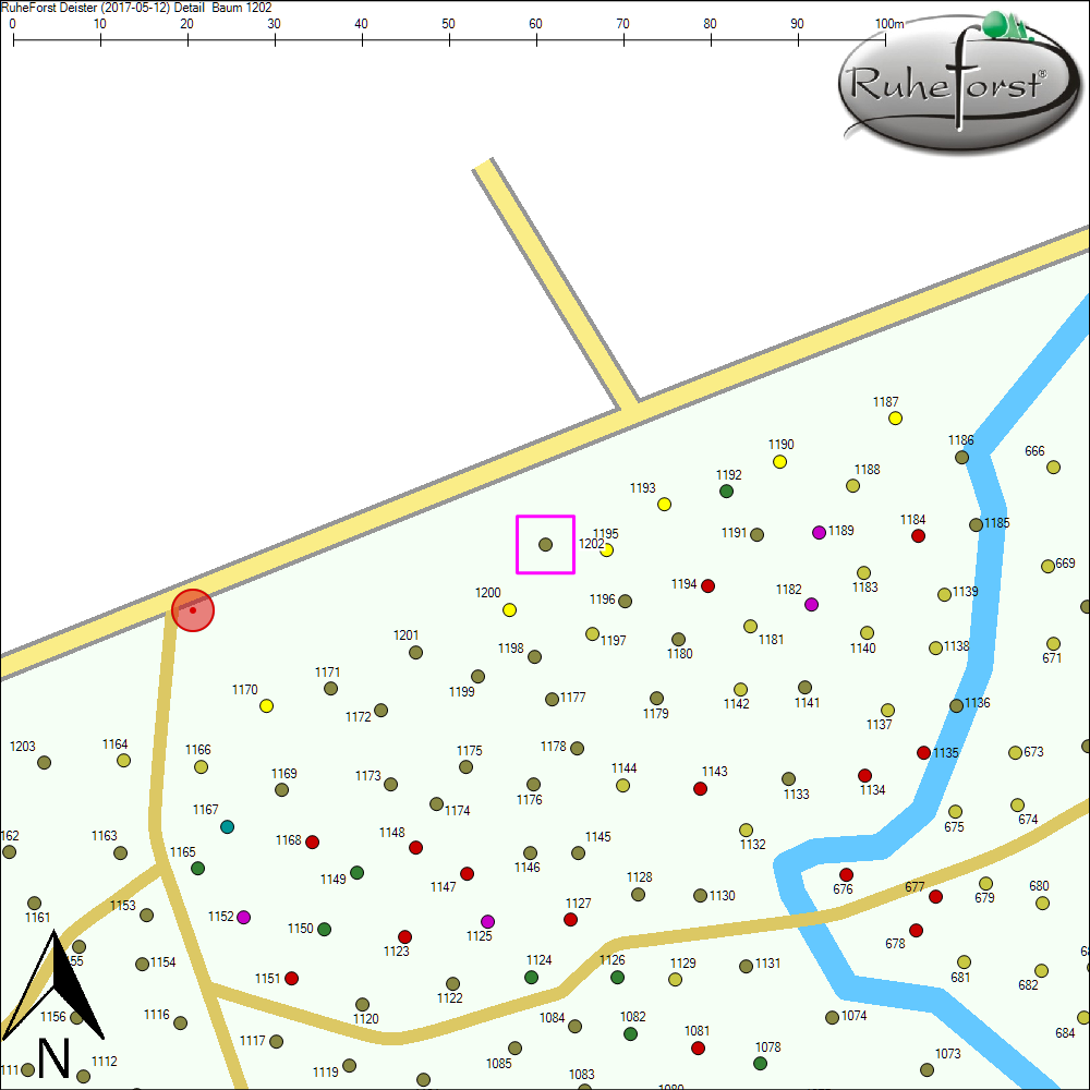 Detailkarte zu Baum 1202