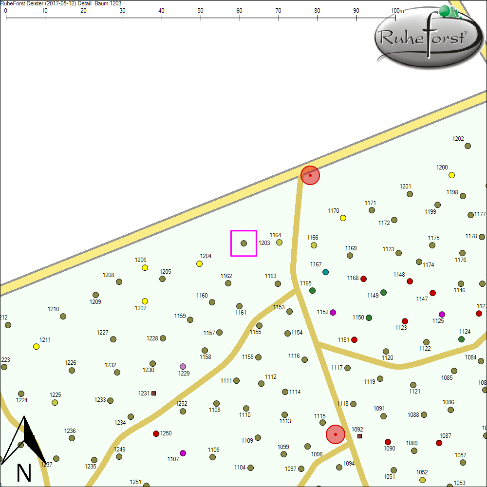 Detailkarte zu Baum 1203