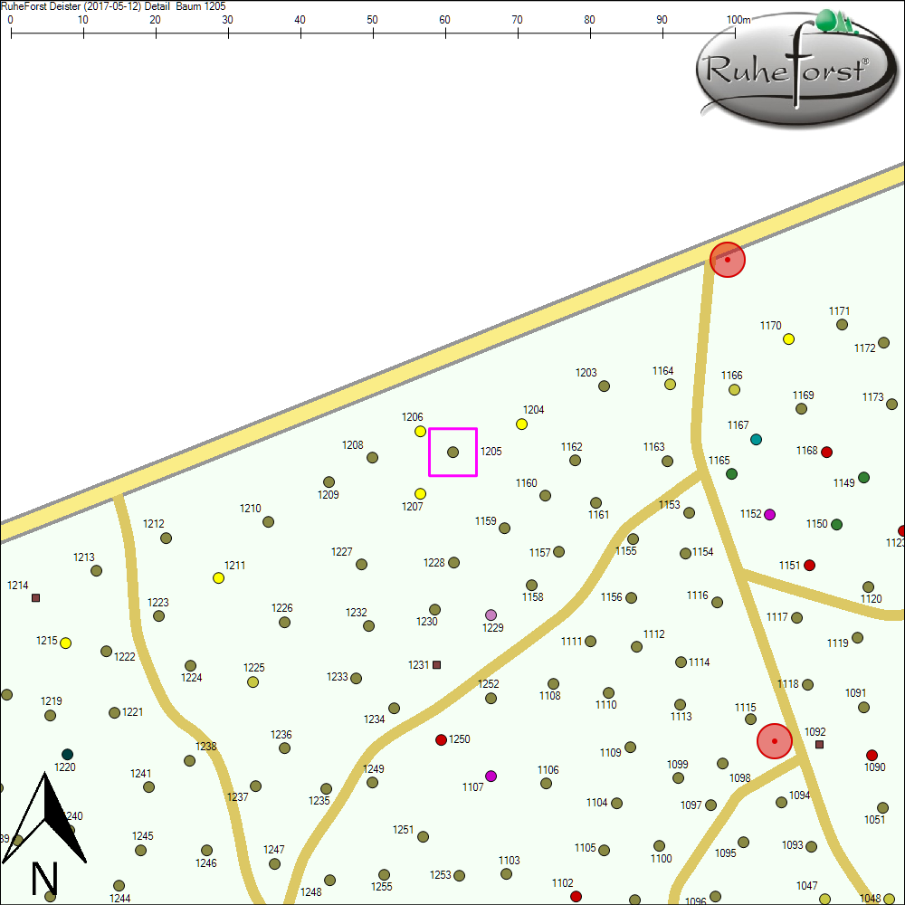 Detailkarte zu Baum 1205