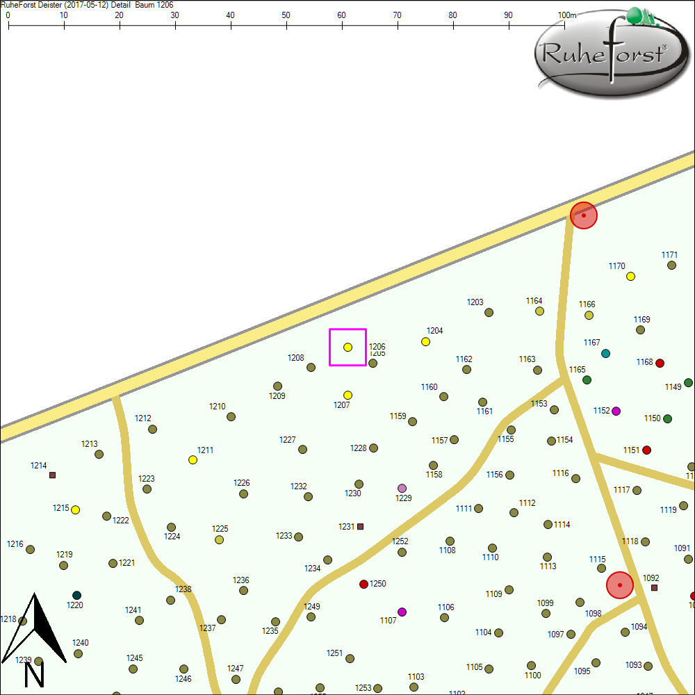 Detailkarte zu Baum 1206
