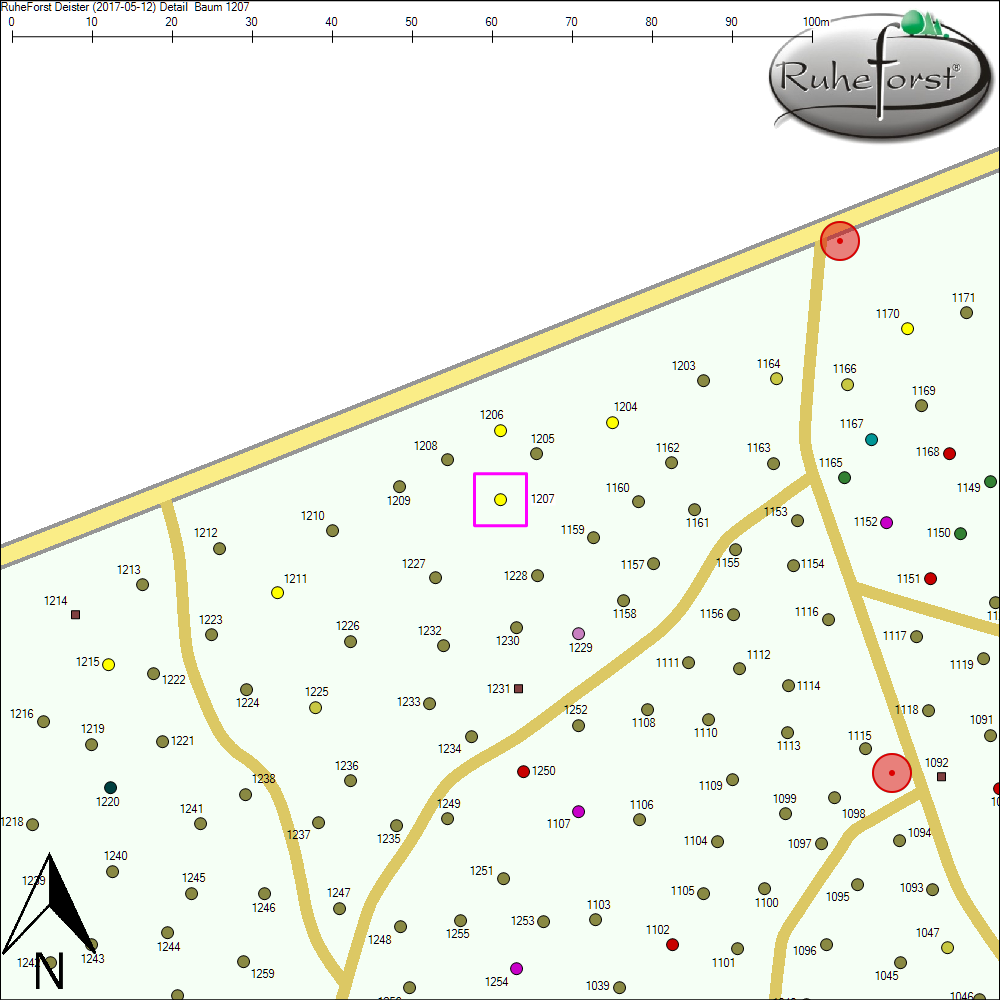 Detailkarte zu Baum 1207